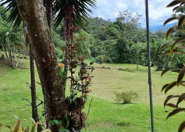 Hotel La Rana De Arenal *