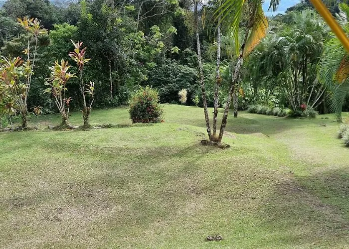 Hotel La Rana De Arenal Nuevo Arenal