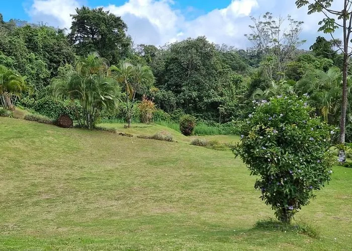 La Rana De Arenal * Nuevo Arenal