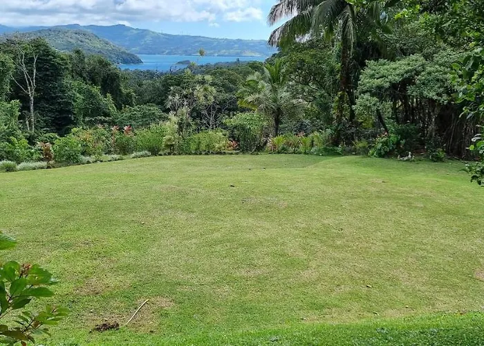 La Rana De Arenal Nuevo Arenal