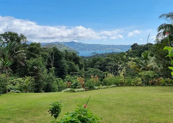 La Rana De Arenal Nuevo Arenal