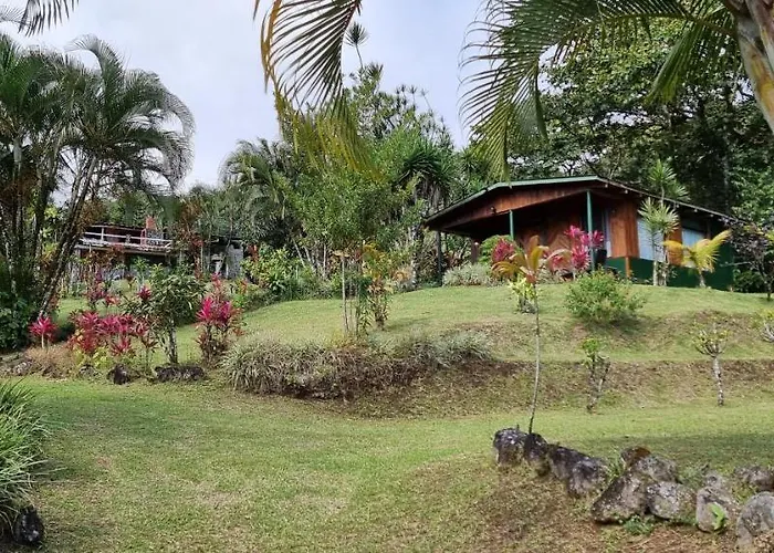 La Rana De Arenal