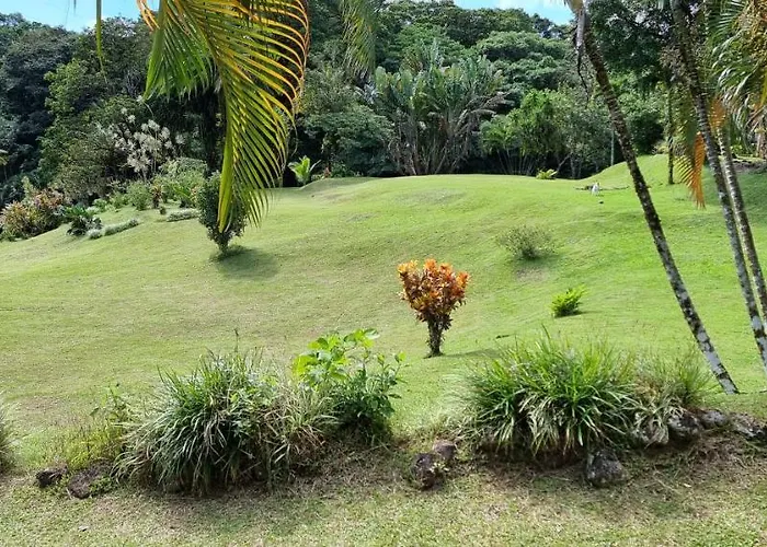 Hotel La Rana De Arenal