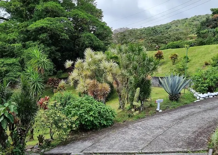 La Rana De Arenal