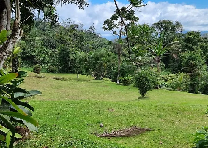 La Rana De Arenal *