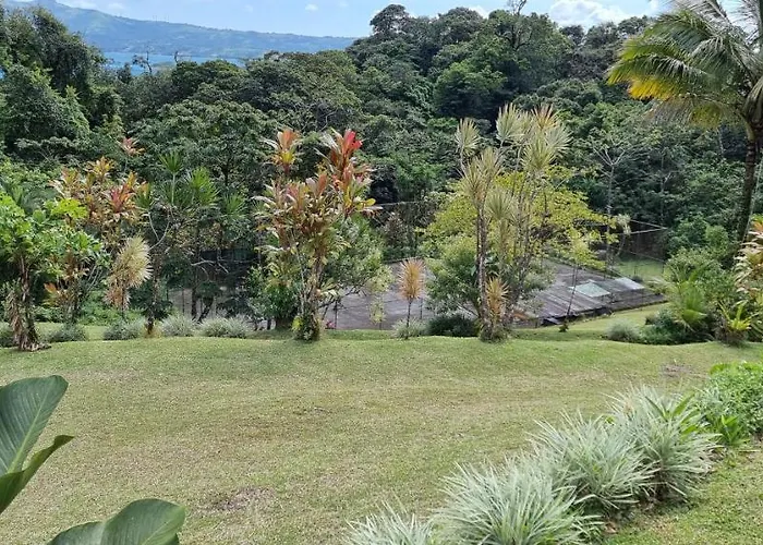 Hotel La Rana De Arenal