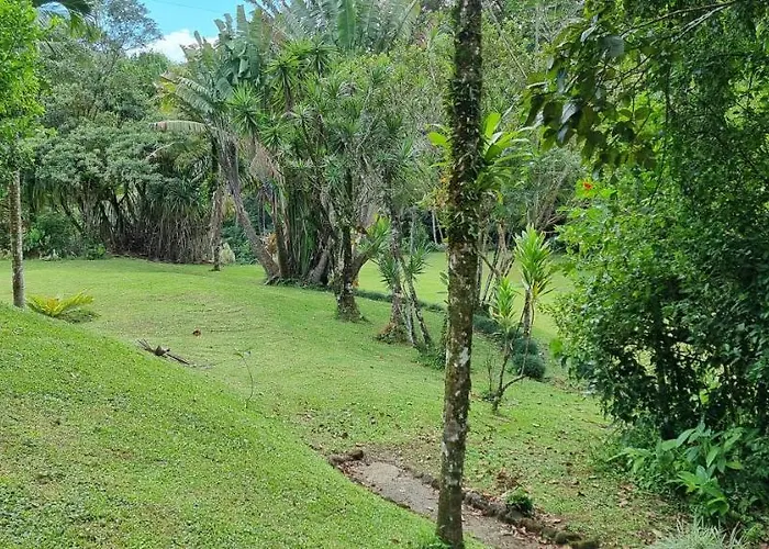 La Rana De Arenal *