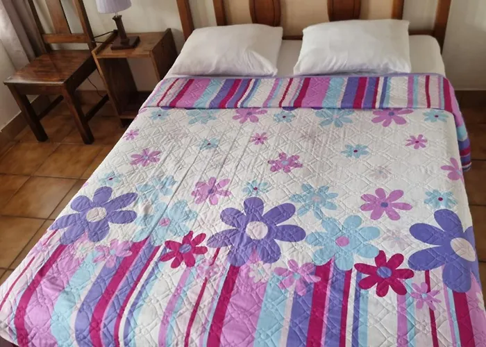 Hotel La Rana De Arenal