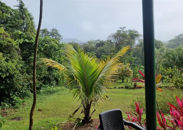 La Rana De Arenal *
