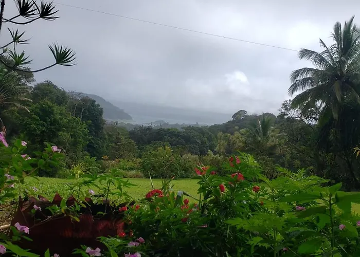 La Rana De Arenal Nuevo Arenal