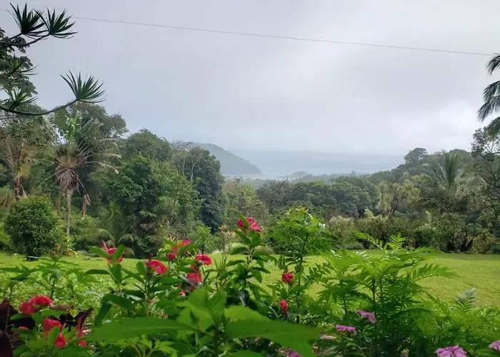 Hotel La Rana De Arenal *