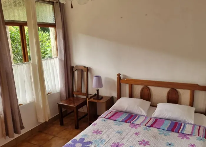 Hotel La Rana De Arenal *