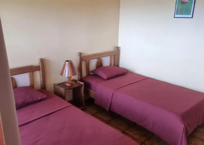 La Rana De Arenal Hotel Nuevo Arenal