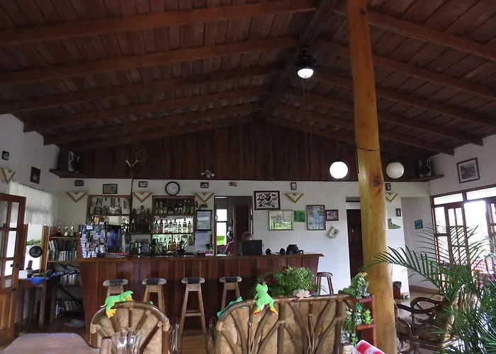La Rana De Arenal Hotel Nuevo Arenal
