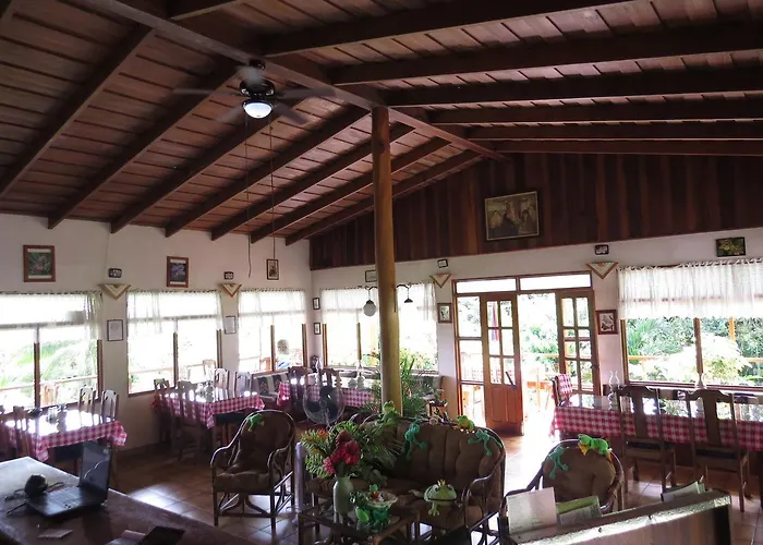 La Rana De Arenal Nuevo Arenal