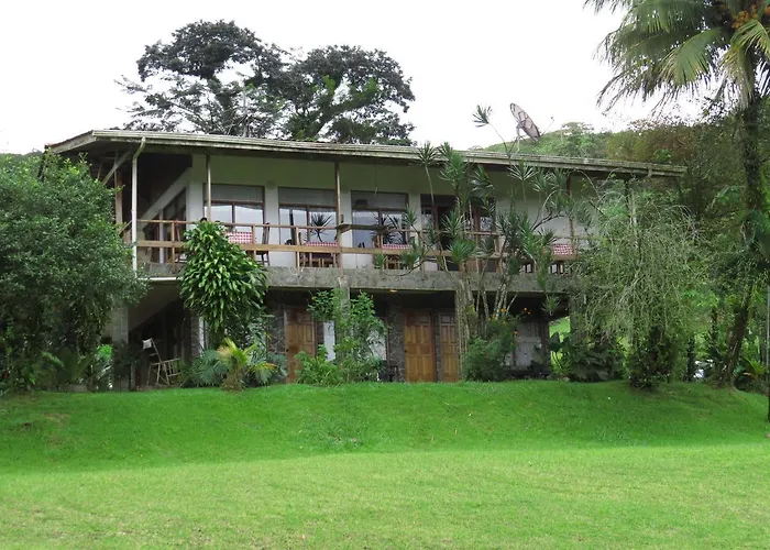 La Rana De Arenal Nuevo Arenal