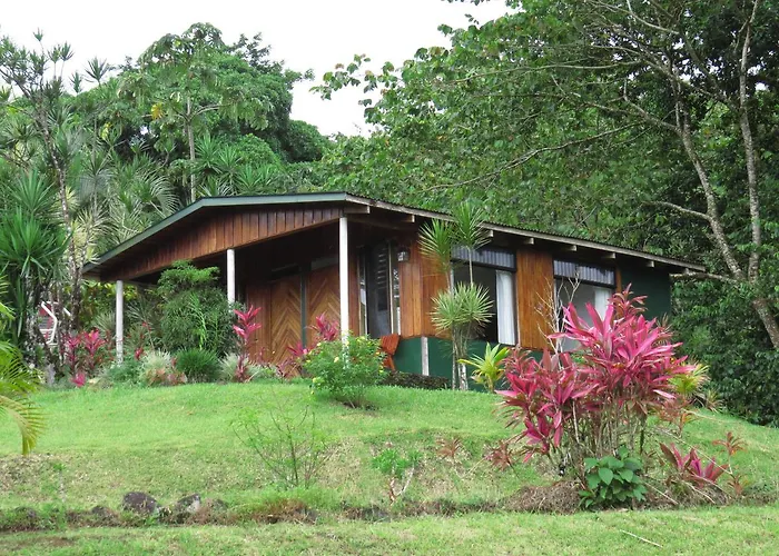 Hotel La Rana De Arenal
